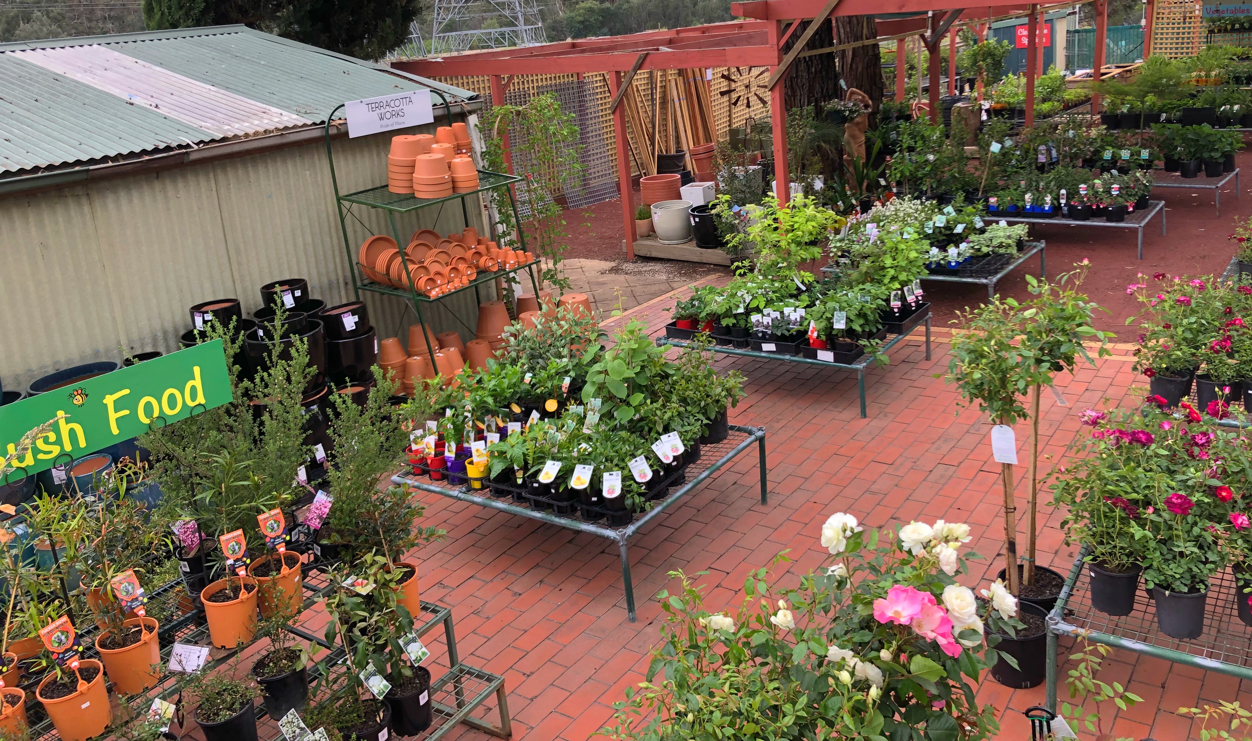 Inspiring Gardeners And Local Communities To Contribute To A Healthy Sustainable And Biodiverse Planet A Locally Owned Retail Nursery With A Commitment To Our Community